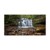 Trademark Fine Art Everlook Photography 'Liffey Falls' Canvas Art, 24x47 ALI29633-C2447GG